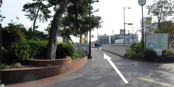 小さな橋を渡ります