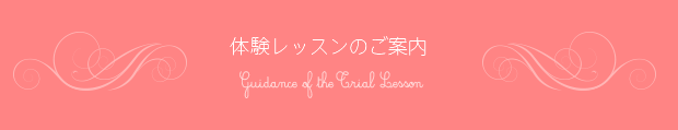 体験レッスンのご案内